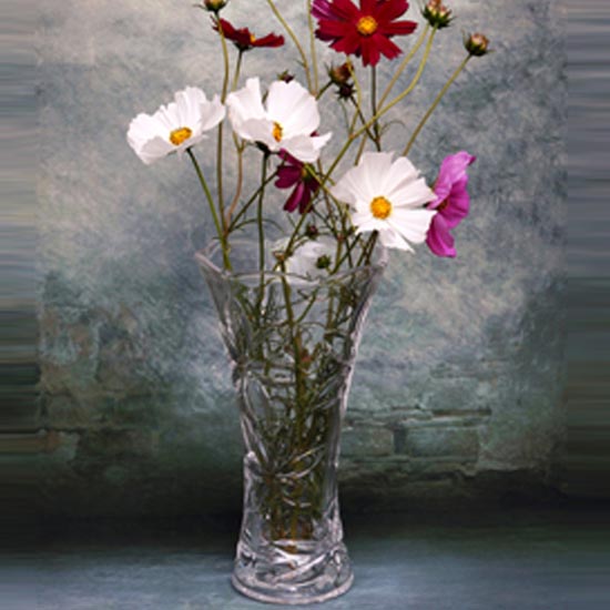 clear vase glass for flower shop decorative